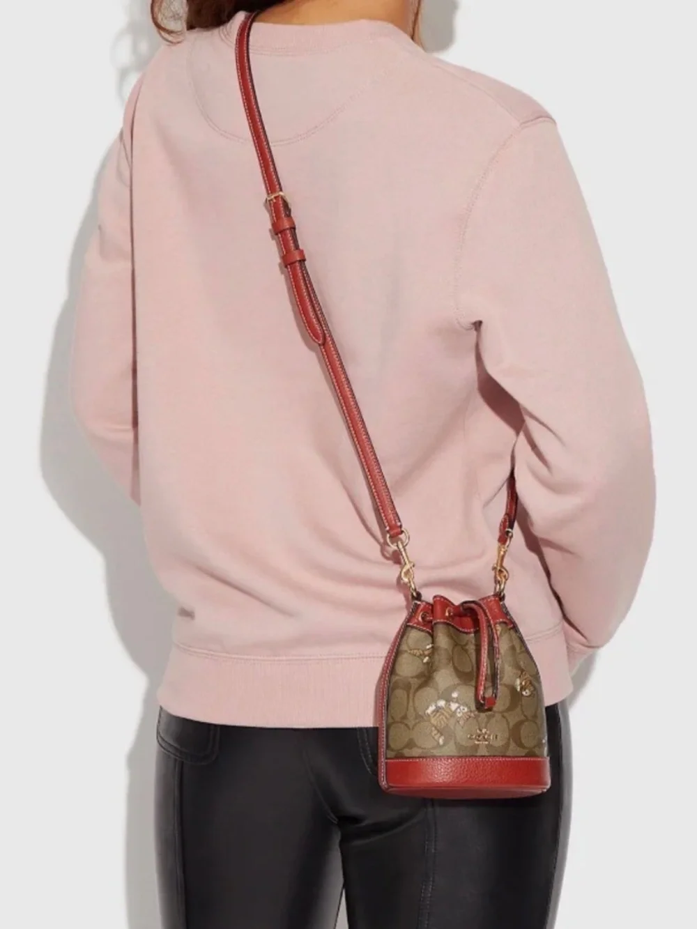 Catastic Coach Bucket Purse